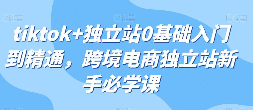 tiktok+独立站0基础入门到精通，跨境电商独立站新手必学课 - 小毅网创-小毅网创