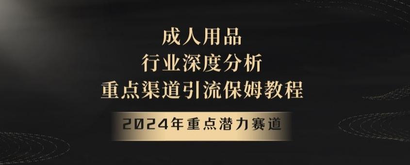 2024年重点潜力赛道，成人用品行业深度分析，重点渠道引流保姆教程【揭秘】 - 小毅网创-小毅网创
