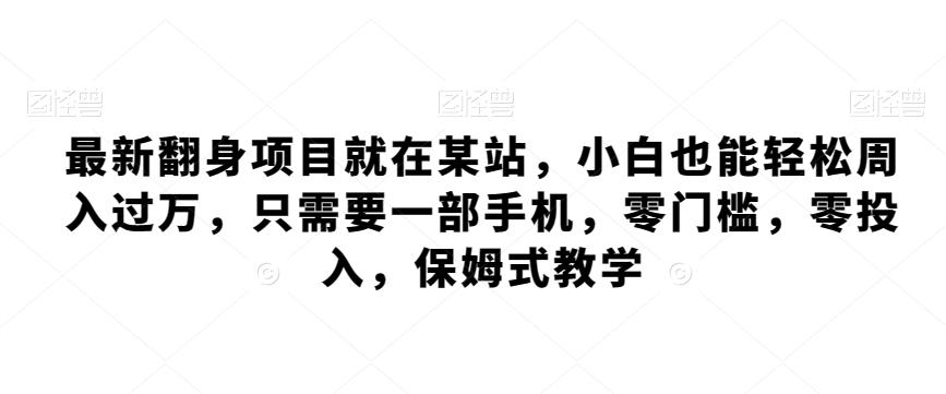 最新翻身项目就在某站，小白也能轻松周入过万，只需要一部手机，零门槛，零投入，保姆式教学 - 小毅网创-小毅网创