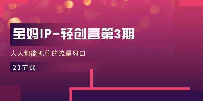 宝妈IP-轻创营第3期，人人都能抓住的流量风口(21节课 - 小毅网创-小毅网创