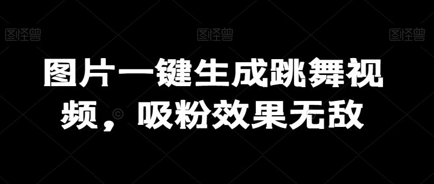 图片一键生成跳舞视频，吸粉效果无敌 - 小毅网创-小毅网创
