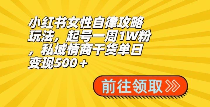 小红书女性自律攻略玩法，起号一周1W粉，私域情商干货单日变现500＋ - 小毅网创-小毅网创