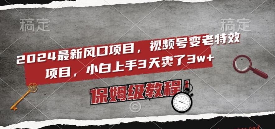 2024最新风口项目，视频号变老特效项目，电脑小白上手3天卖了3w+，保姆级教程【揭秘】 - 小毅网创-小毅网创