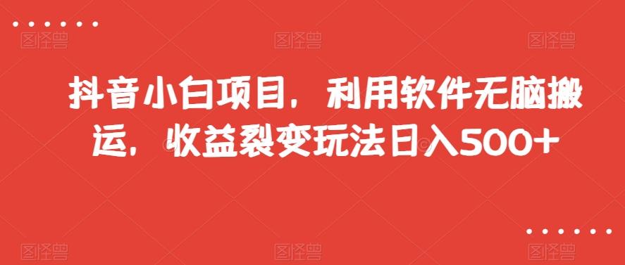 抖音小白项目，利用软件无脑搬运，收益裂变玩法日入500+【揭秘】 - 小毅网创-小毅网创