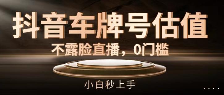 抖音车牌号估值，不露脸直播，0门槛，小白秒上手【揭秘】 - 小毅网创-小毅网创