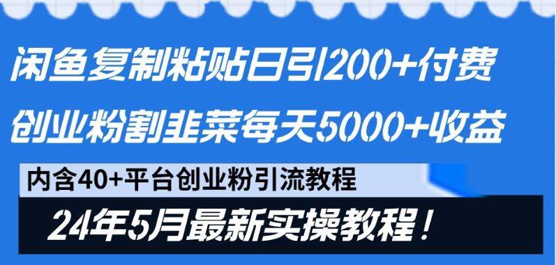 闲鱼复制粘贴日引200+付费创业粉，24年5月最新方法！割韭菜日稳定5000+收益 - 小毅网创-小毅网创