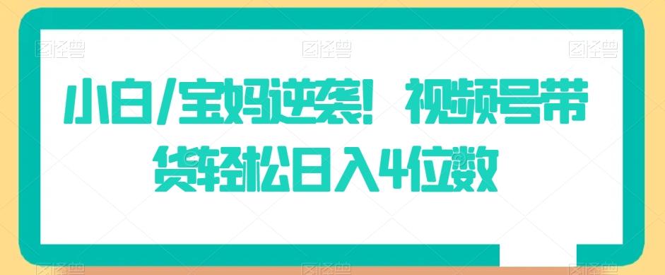 小白/宝妈逆袭！视频号带货轻松日入4位数【揭秘】 - 小毅网创-小毅网创