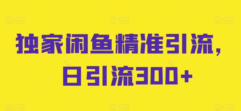 独家闲鱼精准引流，日引流300+【揭秘】 - 小毅网创-小毅网创