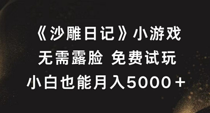 《沙雕日记》小游戏，无需露脸免费试玩，小白也能月入5000+【揭秘】 - 小毅网创-小毅网创