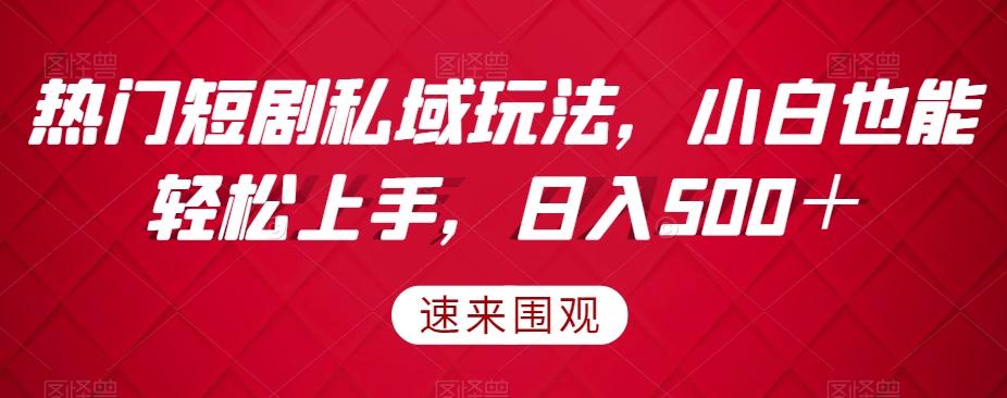 热门短剧私域玩法，小白也能轻松上手，日入500＋ - 小毅网创-小毅网创
