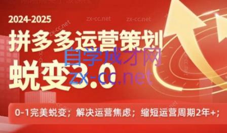 大力老师·2024拼多多运营策略蜕变3.0 - 小毅网创-小毅网创