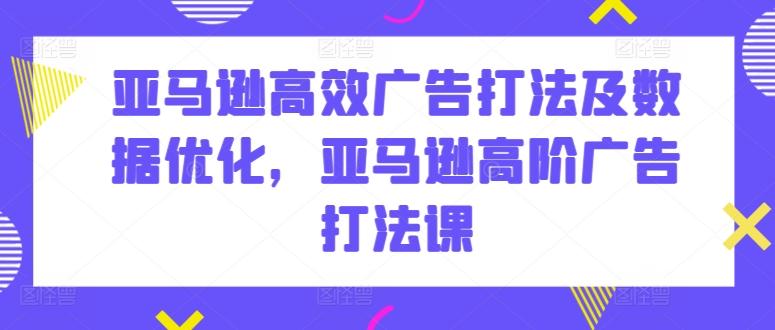 亚马逊高效广告打法及数据优化，亚马逊高阶广告打法课 - 小毅网创-小毅网创