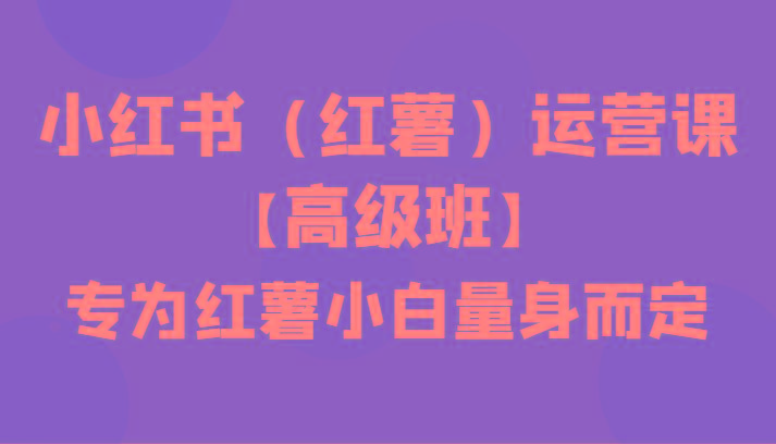小红书(红薯)运营课【高级班】，专为红薯小白量身而定(42节课) - 小毅网创-小毅网创