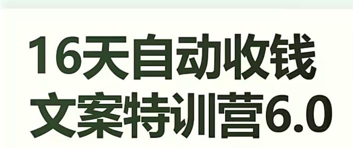 16天自动收钱文案特训营6.0，学会儿每天自动咔咔收钱 - 小毅网创-小毅网创