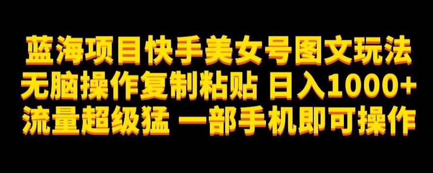 蓝海项目快手美女号图文玩法，无脑操作复制粘贴，日入1000+流量超级猛一部手机即可操作【揭秘】 - 小毅网创-小毅网创