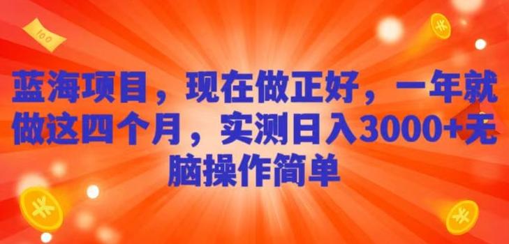 蓝海项目，现在做正好，一年就做这4个月，实测日入3000+，无脑简单操作！ - 小毅网创-小毅网创