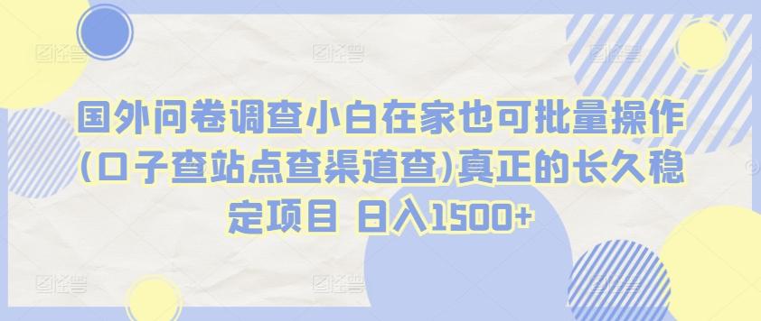 国外问卷调查小白在家也可批量操作(口子查站点查渠道查)真正的长久稳定项目 日入1500+【揭秘】 - 小毅网创-小毅网创
