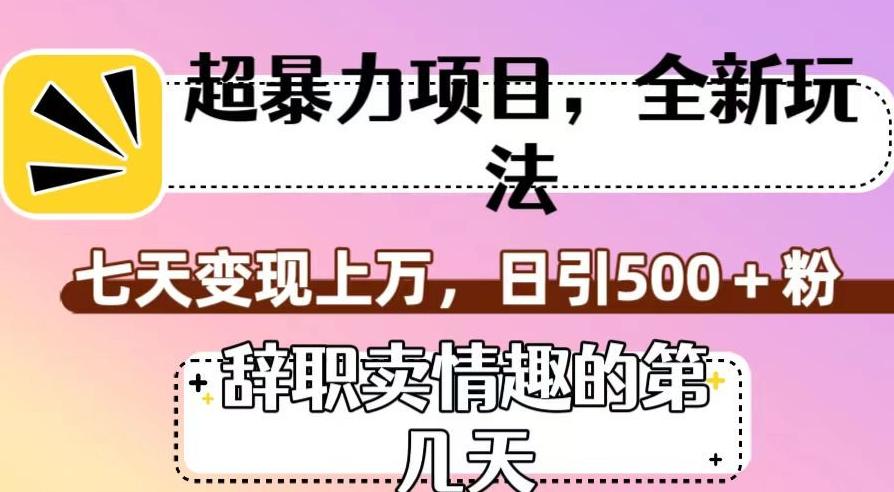 超暴利项目，全新玩法（辞职卖情趣的第几天），七天变现上万，日引500+粉【揭秘】 - 小毅网创-小毅网创