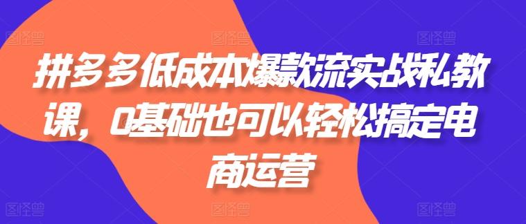 拼多多低成本爆款流实战私教课，0基础也可以轻松搞定电商运营 - 小毅网创-小毅网创