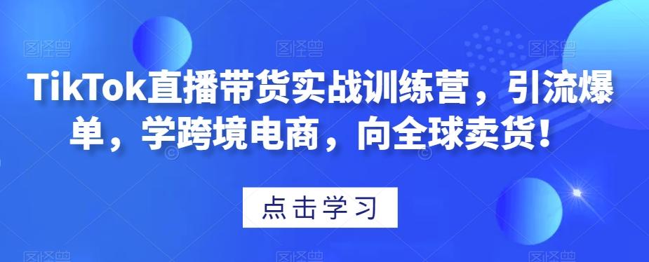 TikTok直播带货实战训练营，引流爆单，学跨境电商，向全球卖货！ - 小毅网创-小毅网创