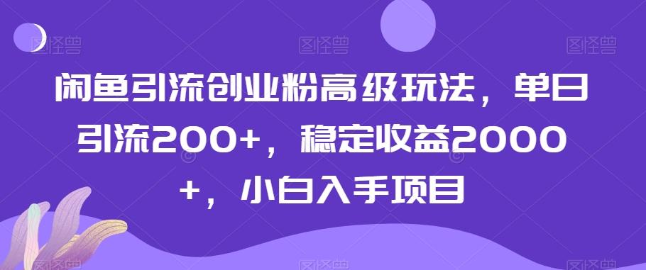 闲鱼引流创业粉高级玩法，单日引流200+，稳定收益2000+，小白入手项目-小毅网创