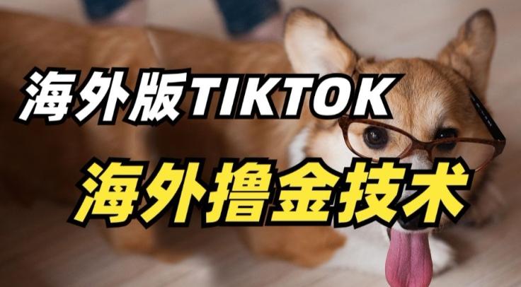 抖音海外版tiktok撸金技术，这个风口行业，赚钱真的不难【揭秘】 - 小毅网创-小毅网创