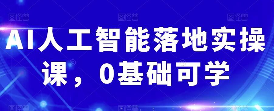 AI人工智能落地实操课，0基础可学 - 小毅网创-小毅网创
