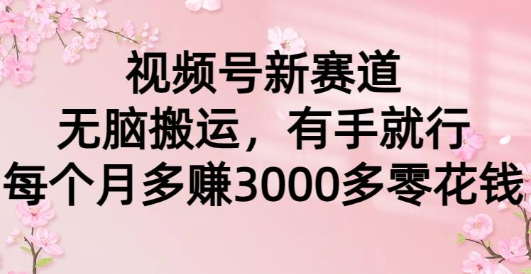 (9278期)视频号新赛道，无脑搬运，有手就行，每个月多赚3000多零花钱 - 小毅网创-小毅网创