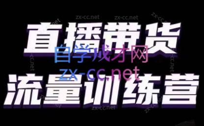 婉婉·直播带货课程系列合集(更新8月) - 小毅网创-小毅网创