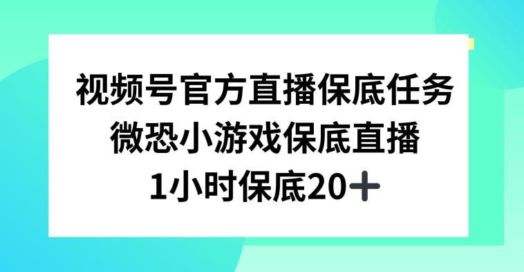 视频号直播任务，微恐小游戏，1小时20+【揭秘】 - 小毅网创-小毅网创