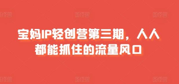 宝妈IP轻创营第三期，人人都能抓住的流量风口 - 小毅网创-小毅网创