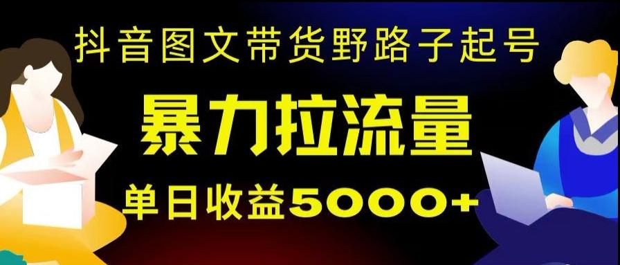 抖音图文带货暴力起号，单日收益5000+，野路子玩法，简单易上手，一部手机即可【揭秘】 - 小毅网创-小毅网创