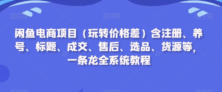 闲鱼电商项目(玩转价格差)含注册、养号、标题、成交、售后、选品、货源等，一条龙全系统教程-小毅网创