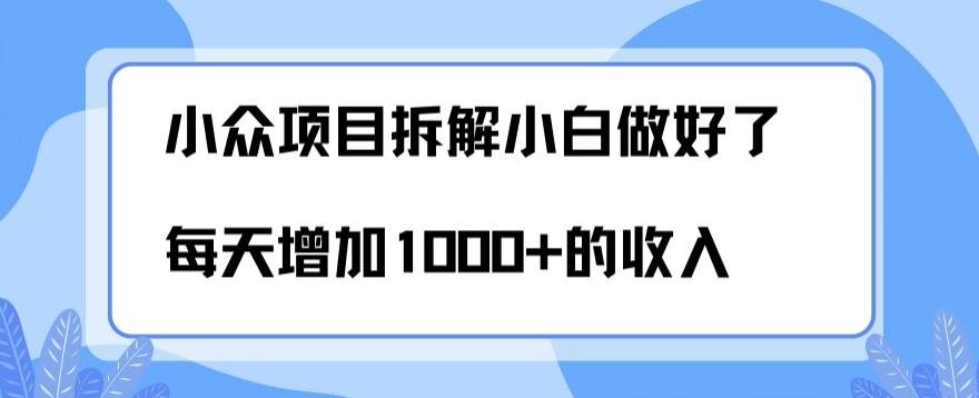 小众项目拆解，小白做好了每天可增加1000多的收入 - 小毅网创-小毅网创