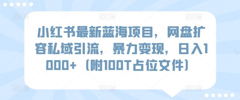 小红书最新蓝海项目，网盘扩容私域引流，暴力变现，日入1000+(附100T占位文件)【揭秘】 - 小毅网创-小毅网创