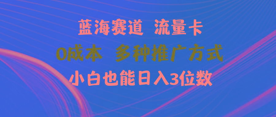 蓝海赛道 流量卡 0成本 小白也能日入三位数 - 小毅网创-小毅网创