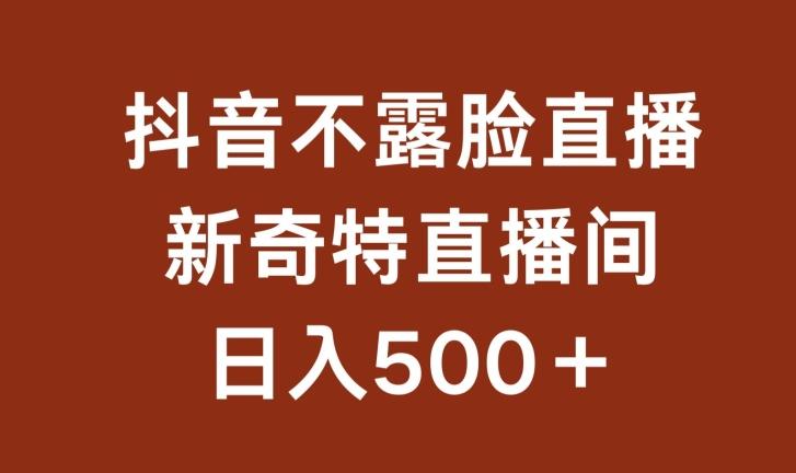 不露脸挂机直播，新奇特直播间，日入500+【揭秘】 - 小毅网创-小毅网创