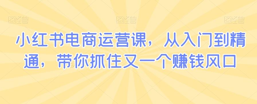 小红书电商运营课，从入门到精通，带你抓住又一个赚钱风口 - 小毅网创-小毅网创