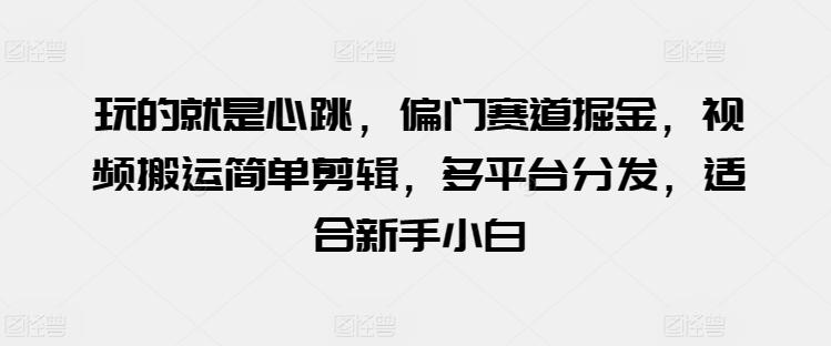 玩的就是心跳，偏门赛道掘金，视频搬运简单剪辑，多平台分发，适合新手小白【揭秘】 - 小毅网创-小毅网创
