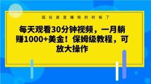 每天观看30分钟视频，一月躺赚1000+美金！保姆级教程，可放大操作【揭秘】 - 小毅网创-小毅网创