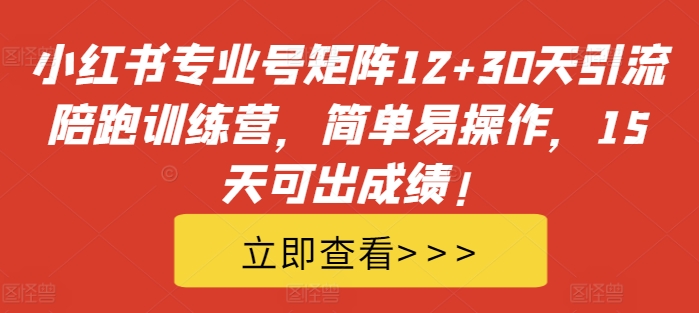 小红书专业号矩阵12+30天引流陪跑训练营，简单易操作，15天可出成绩! - 小毅网创-小毅网创