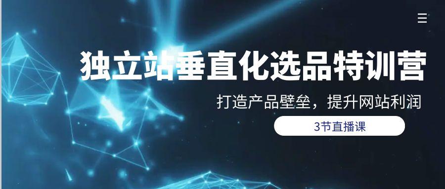 (9925期)独立站-垂直化选品训练营，打造产品壁垒，提升网站利润(3节直播课) - 小毅网创-小毅网创