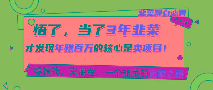 悟了，当了3年韭菜，才发现网赚圈年赚100万的核心是卖项目，含泪分享！ - 小毅网创-小毅网创