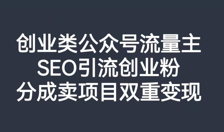 创业类公众号流量主，SEO引流创业粉，分成卖项目双重变现【揭秘】 - 小毅网创-小毅网创