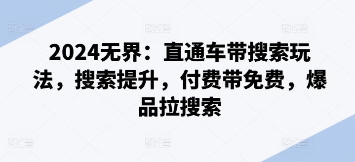 2024无界：直通车带搜索玩法，搜索提升，付费带免费，爆品拉搜索 - 小毅网创-小毅网创