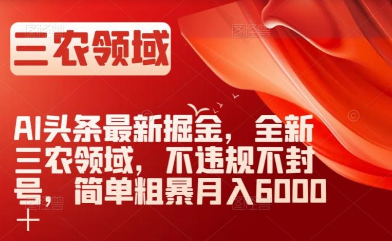 AI头条最新掘金，全新三农领域，不违规不封号，简单粗暴月入6000＋【揭秘】 - 小毅网创-小毅网创