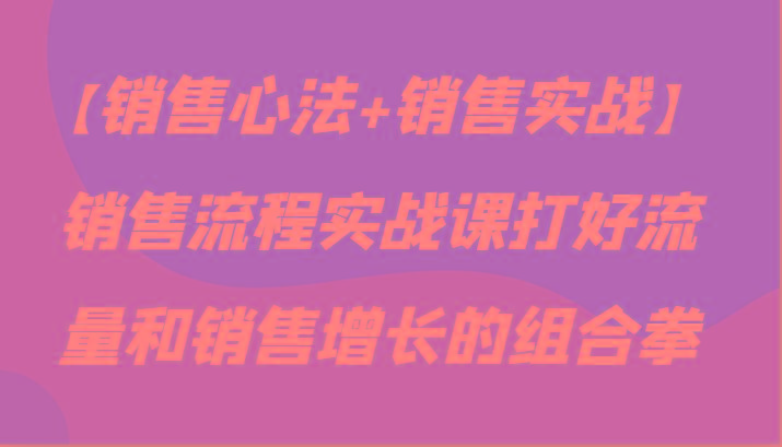【销售心法+销售实战】销售流程实战课打好流量和销售增长的组合拳 - 小毅网创-小毅网创