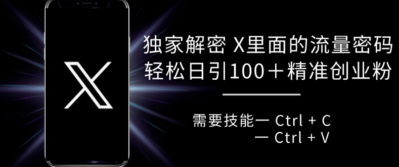 独家解密 X 里面的流量密码，复制粘贴轻松日引100+ - 小毅网创-小毅网创
