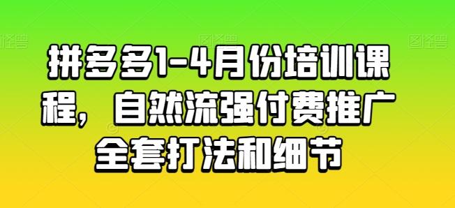 拼多多1-4月份培训课程，自然流强付费推广全套打法和细节 - 小毅网创-小毅网创