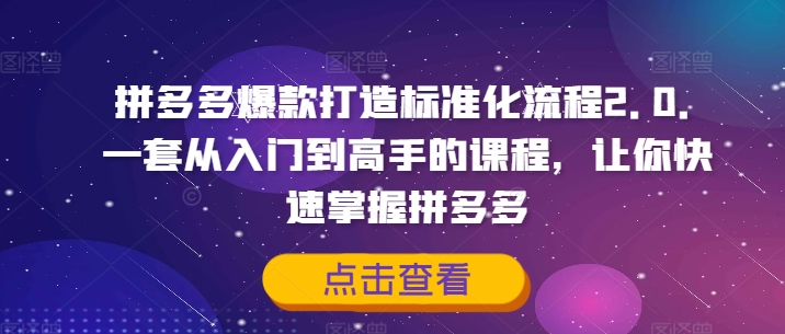 拼多多爆款打造标准化流程2.0，一套从入门到高手的课程，让你快速掌握拼多多 - 小毅网创-小毅网创